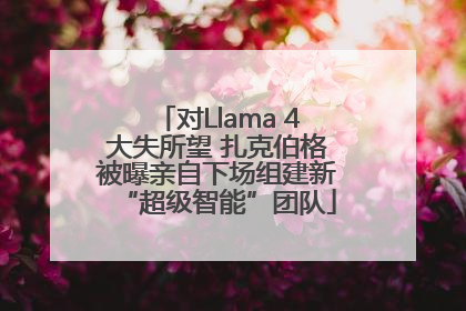 对Llama 4大失所望 扎克伯格被曝亲自下场组建新“超级智能”团队