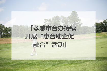 孝感市台办持续开展“惠台助企促融合”活动