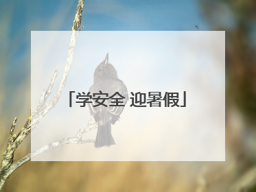 学安全 迎暑假