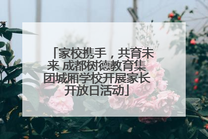 家校携手，共育未来 成都树德教育集团城厢学校开展家长开放日活动