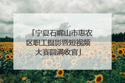 宁夏石嘴山市惠农区职工摄影暨短视频大赛圆满收官