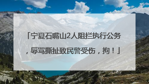 宁夏石嘴山2人阻拦执行公务，辱骂撕扯致民警受伤，拘！