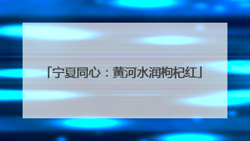 宁夏同心：黄河水润枸杞红