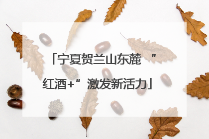 宁夏贺兰山东麓 “红酒+”激发新活力