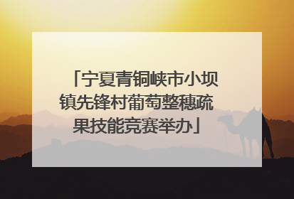 宁夏青铜峡市小坝镇先锋村葡萄整穗疏果技能竞赛举办