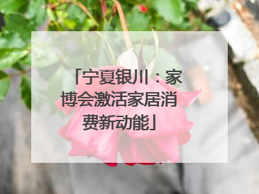 宁夏银川：家博会激活家居消费新动能