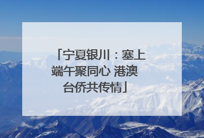 宁夏银川：塞上端午聚同心 港澳台侨共传情