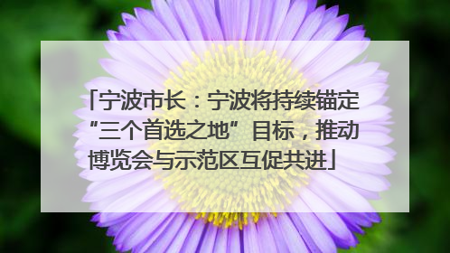 宁波市长：宁波将持续锚定“三个首选之地”目标，推动博览会与示范区互促共进
