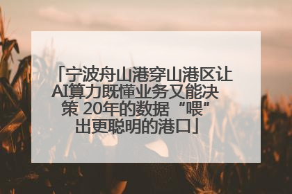宁波舟山港穿山港区让AI算力既懂业务又能决策 20年的数据“喂”出更聪明的港口