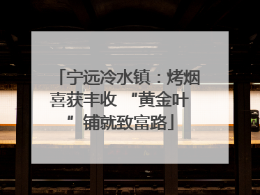 宁远冷水镇：烤烟喜获丰收 “黄金叶”铺就致富路