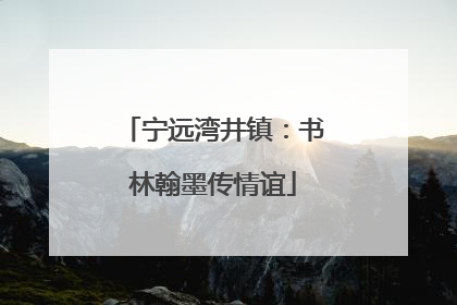 宁远湾井镇：书林翰墨传情谊