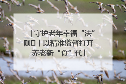 守护老年幸福“法”则⑮丨以精准监督打开养老新“食”代