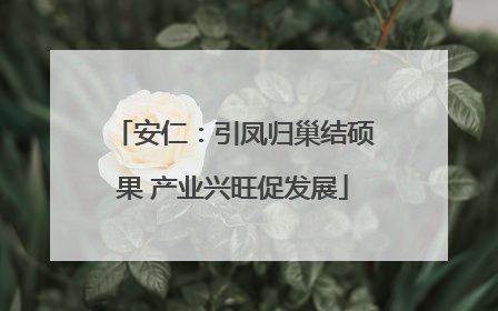 安仁：引凤归巢结硕果 产业兴旺促发展