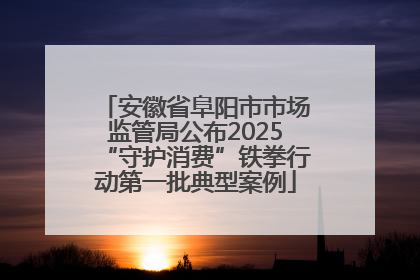 安徽省阜阳市市场监管局公布2025“守护消费”铁拳行动第一批典型案例
