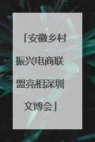 安徽乡村振兴电商联盟亮相深圳文博会