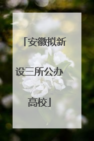 安徽拟新设三所公办高校