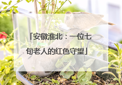 安徽淮北：一位七旬老人的红色守望