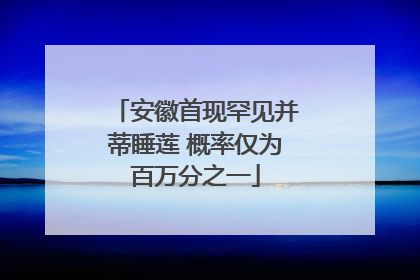 安徽首现罕见并蒂睡莲 概率仅为百万分之一
