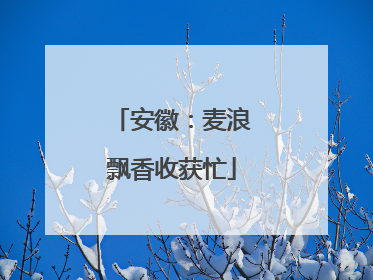 安徽：麦浪飘香收获忙