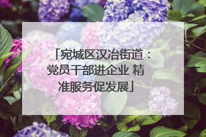 宛城区汉冶街道：党员干部进企业 精准服务促发展