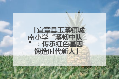 宜章县玉溪镇城南小学“溪韧中队”：传承红色基因 锻造时代新人