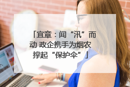 宜章：闻“汛”而动 政企携手为烟农撑起“保护伞”