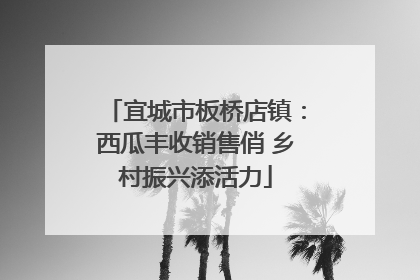 宜城市板桥店镇：西瓜丰收销售俏 乡村振兴添活力