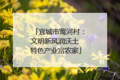 宜城市莺河村：文明新风润沃土 特色产业富农家
