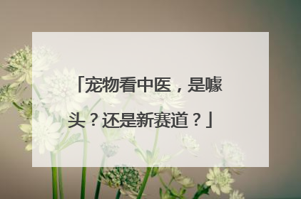 宠物看中医，是噱头？还是新赛道？