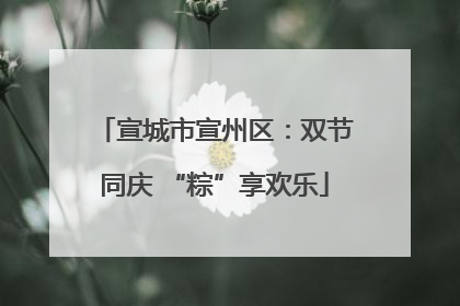 宣城市宣州区：双节同庆 “粽”享欢乐