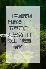 宣威市凤凰街道：“五重五促”共绘家门口务工“斑斓画卷”