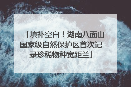 填补空白！湖南八面山国家级自然保护区首次记录珍稀物种宽距兰