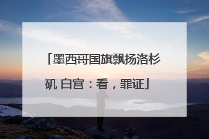 墨西哥国旗飘扬洛杉矶 白宫：看，罪证