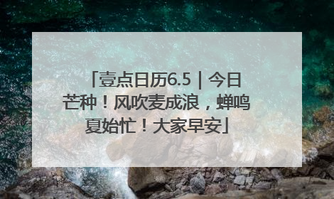 壹点日历6.5｜今日芒种！风吹麦成浪，蝉鸣夏始忙！大家早安