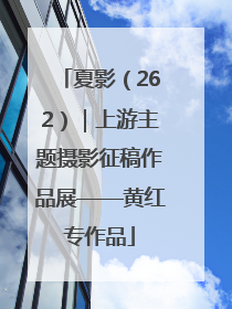 夏影（262）｜上游主题摄影征稿作品展——黄红专作品