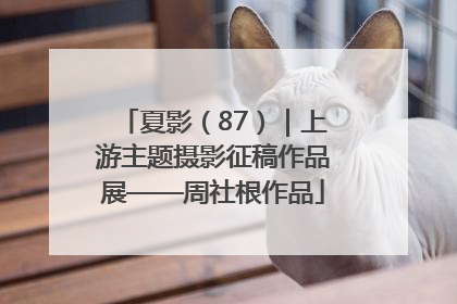 夏影（87）｜上游主题摄影征稿作品展——周社根作品