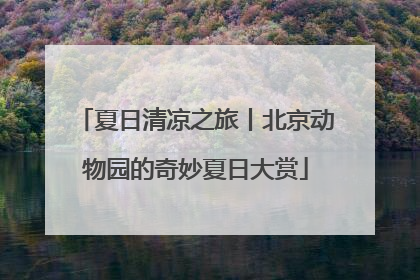 夏日清凉之旅丨北京动物园的奇妙夏日大赏