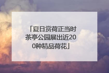 夏日赏荷正当时 茶亭公园展出近200种精品荷花