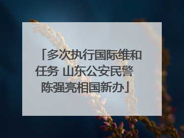 多次执行国际维和任务 山东公安民警陈强亮相国新办