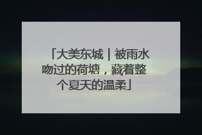 大美东城｜被雨水吻过的荷塘，藏着整个夏天的温柔