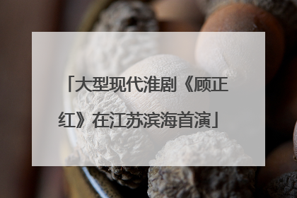 大型现代淮剧《顾正红》在江苏滨海首演