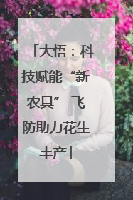 大悟：科技赋能“新农具” 飞防助力花生丰产