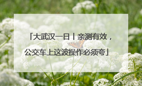 大武汉一日丨亲测有效，公交车上这波操作必须夸