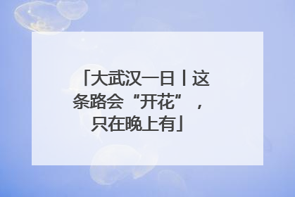 大武汉一日丨这条路会“开花”，只在晚上有