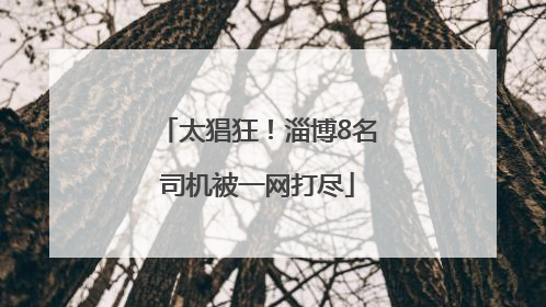 太猖狂！淄博8名司机被一网打尽