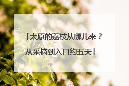 太原的荔枝从哪儿来？从采摘到入口约五天