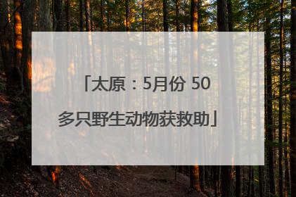 太原：5月份 50多只野生动物获救助
