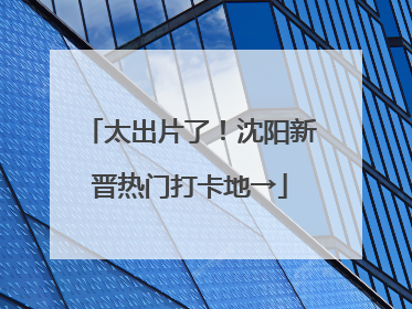 太出片了！沈阳新晋热门打卡地→