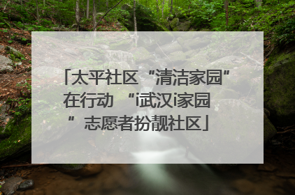 太平社区“清洁家园”在行动 “i武汉i家园”志愿者扮靓社区