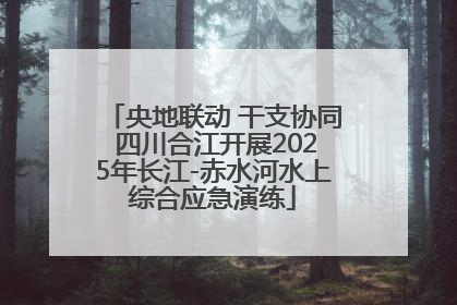央地联动 干支协同 四川合江开展2025年长江-赤水河水上综合应急演练